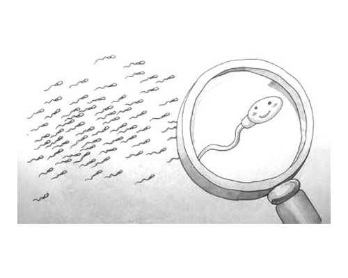 试管内膜与激素不同步，会影响人工授精的成功率吗？