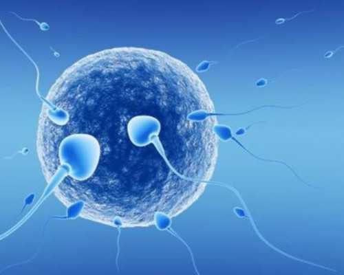 泰国试管婴儿医院有哪些比较好