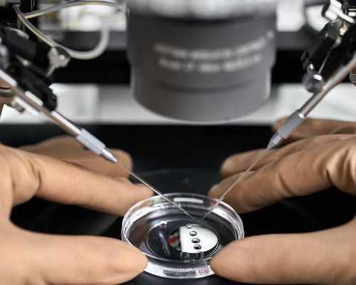 云南试管婴儿公司(云南试管婴儿费用大约多少)~代怀男宝