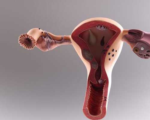 拉萨供卵试管助孕机构排名,2023周边热门试管婴儿医院推荐~代孕包女孩费用