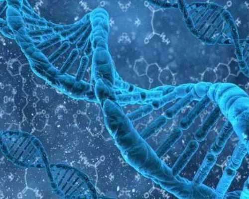 海外好口碑试管婴儿服务机构分享,附全球前10~代孕公司靠谱吗