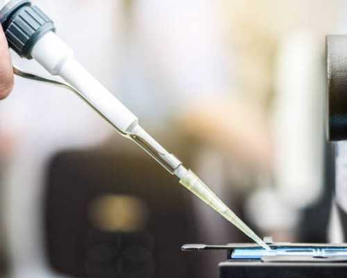 子宫肌瘤手术后食谱