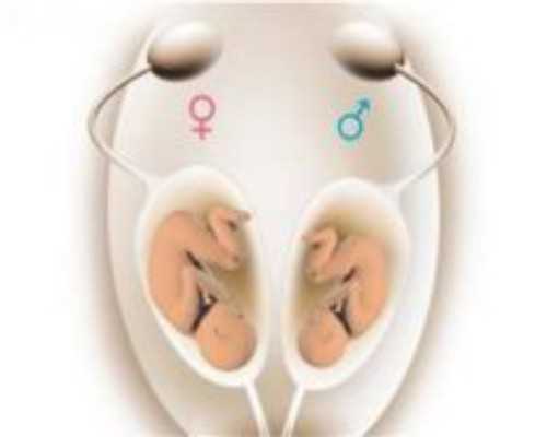 胚胎移植后可以喝益生菌吗？移植后服用益生菌可以调节胃肠功能吗？~助孕机构电话