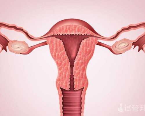 泰国比较好的试管婴儿医院有哪些?~借卵自怀费用