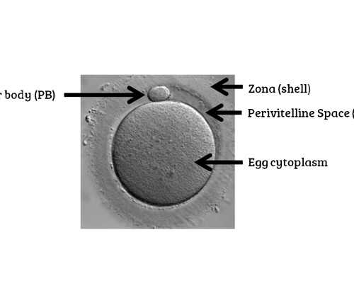 云南省有三代试管的医院么？云南三代试管婴儿成功率高的医院推荐~私人试管婴儿