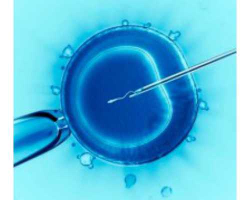 泰国做三代试管婴儿医院能保证试管生男孩吗？~私人三代咨询