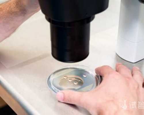 卵子质量差该怎么调理,做试管婴儿治疗需要什么质量的卵子~试管代怀生子