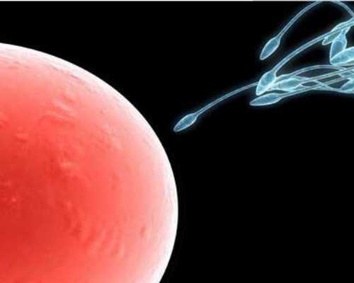 6c3胚胎能否养囊？胚胎6c3的质量好不好？