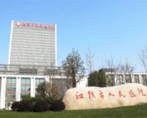 泰国试管婴儿卵巢早衰哪个好？~代怀生子价格