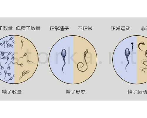 第二代日本试管婴儿全程治疗大概需要多长时间？~代生价格