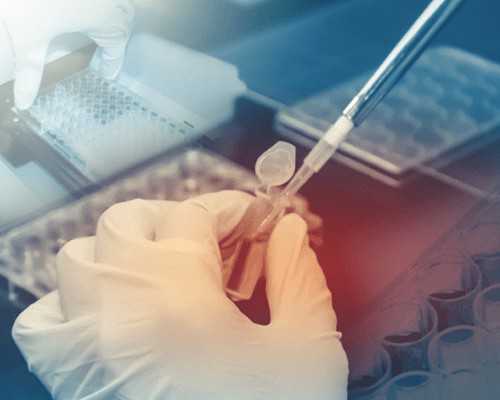 【济南不孕不育医院前三名_济南不孕不育医院排名,齐鲁、山大生殖前茅-泰国试管婴儿助_试管百科】