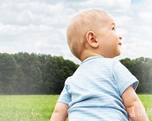 2023年拉拉去泰国试管婴儿的过程包括哪些步骤?