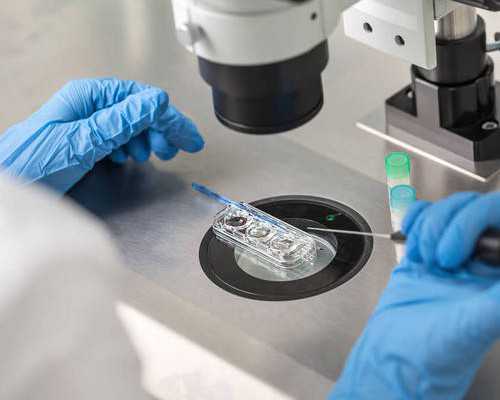 取卵后怎么恢复卵巢