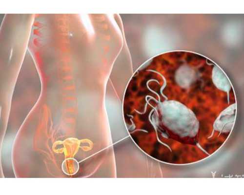 泰国和国内供卵试管婴儿对比？泰国供卵~可以找供卵代孕