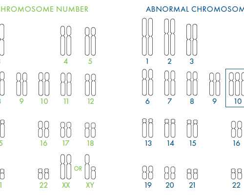拉拉试管婴儿怎么上户口-试管婴儿有户口吗~供精供卵费用
