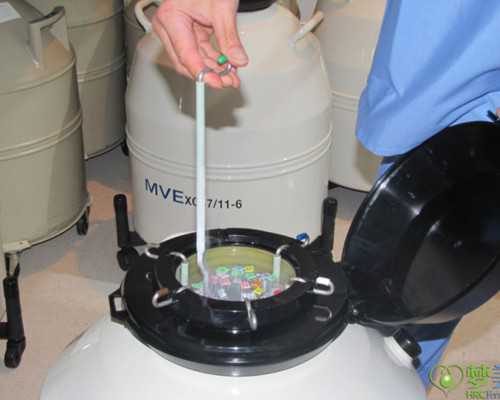 香港验血显示y是男孩嘛_香港验血鉴别性别机构犯法吗_验血详细流程,看完你还