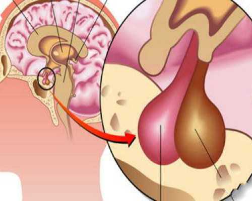 香港海港城验血准吗_香港验血鉴定男女几个月_你想知道的都在这里