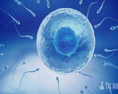 香港 孕妇 验血 原理_半年内流产又怀孕可以验血吗香港_哪个验血机构比较准