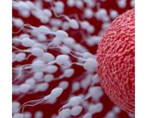 寄血样去香港验血_香港验血查男女准确吗_怀孕香港验血多久最好