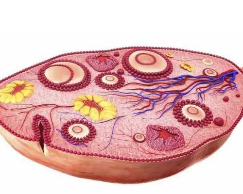 上海古玩地摊市场在哪里_西泠藏宝 写照精神——汉《三老碑》的递传和归宿