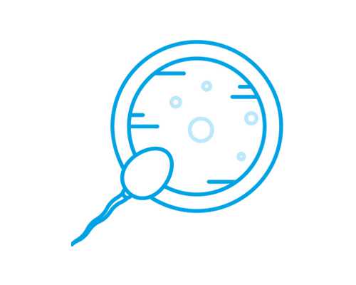 香港验血检测男女几周检查_香港验血鉴别男女经历_去香港验血必须学会这几招