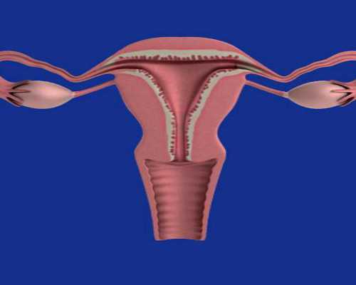2024在香港做试管婴儿费用贵吗?具体多少钱?~代孕最低价