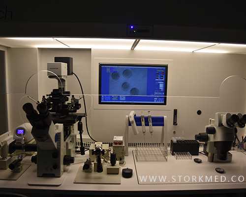 香港验血查性别到底准不准_在哪里抽血可以寄香港查胎儿性别_有没有香港验血