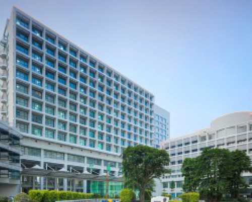 香港验血性别中介_《我的初三生活》作文600字作文:我的初三生活 600字