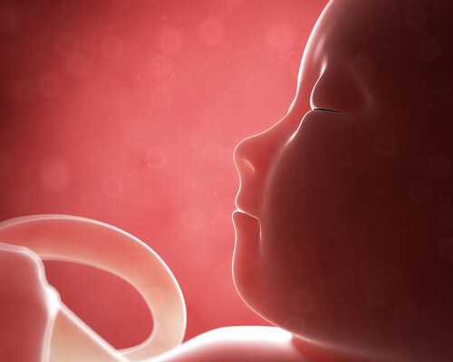 孕六周香港验血准吗_流产多久才可以去香港验血_亲身经历告诉你