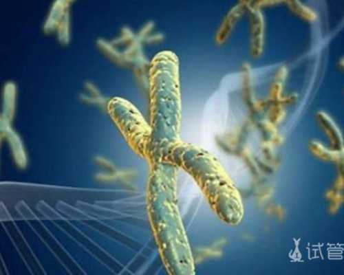 古玩 电影 百度云_星空燕窝+红枣燕窝+百香果果酱「miu的食光记」