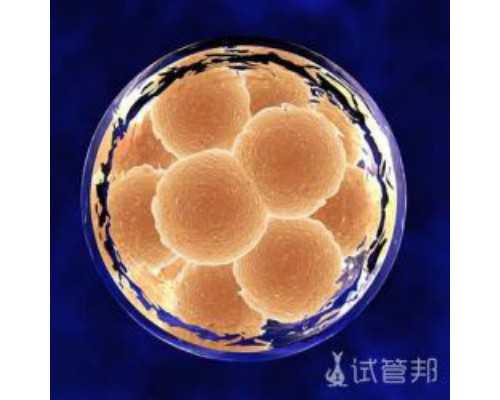 南昌去香港验血需要多少钱_香港达雅高验血预约,性别鉴定最权威的机构是哪家