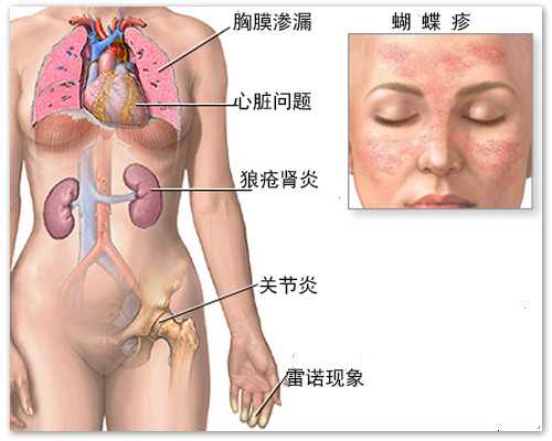 香港验血六周按七周验的准吗_香港时代基因验血报告_性别鉴定需要什么条件
