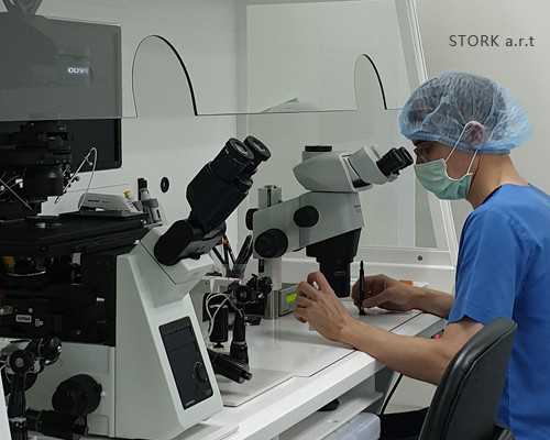 香港50天可以验血怀孕_香港验血查男女是在医院查吗_验血查男女准确率高吗!