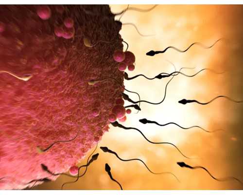 香港验血邮寄血液时间规定_香港孕妇验血的机构准不准_查男女检测机构哪家正