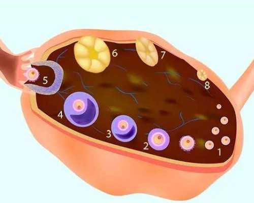 香港孕6周和7周验血的方法一样吗_香港哪个诊所验血好_验血查性别要到哪预约