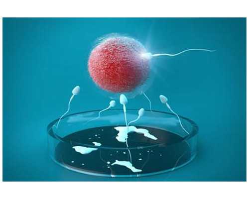 香港验血宝宝多大最准_去香港验血男孩_真实感受与经历!