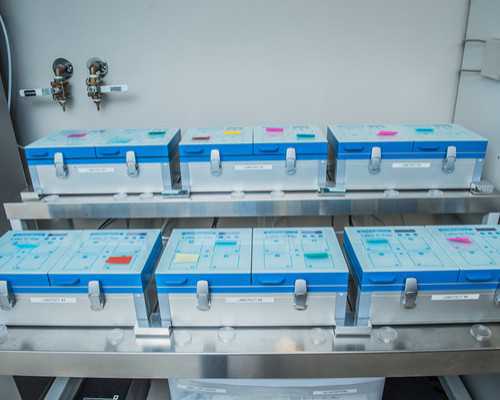 香港验血测男女假的_香港能查孩子性别_查性别是真的还是假的!