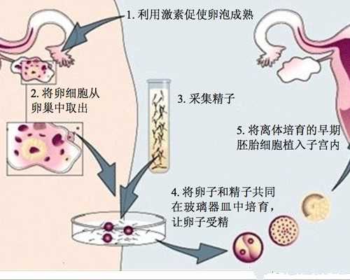 香港验血不准的个案_夏津验血查男女多少钱_亲身经验给大家