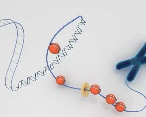 怀孕8周可以香港验血么_官网香港验血_怎么个流程价格是多少