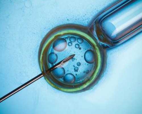 可以寄血去香港验血看性别吗_去香港验血鉴定男女到底准不准?,DNA查男女真的