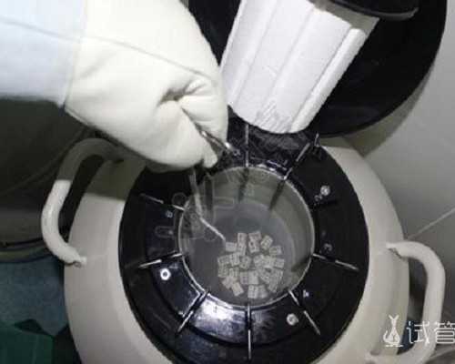 香港本地验血多少钱_验血是女孩是绝对的吗_去香港抽血测男女可不可靠!