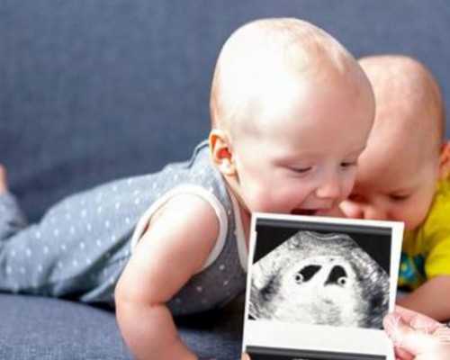 国家正规古玩鉴定中心_罗元欣：齐白石画呆萌小鸟所藏的真意