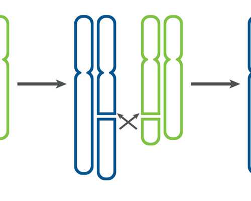 香港通过中介验血准吗_香港抽血化验男女是真是假?分享我去香港验血的亲身经