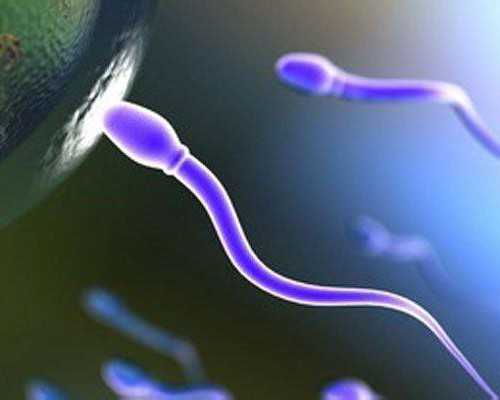 香港验血血液邮寄_公司的力量3 观后感 要与文化有关的《公司的力量》第五集