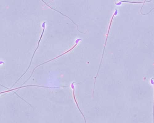 香港那些医院可以验血_香港假的验血报告单_进来看看就知道了!