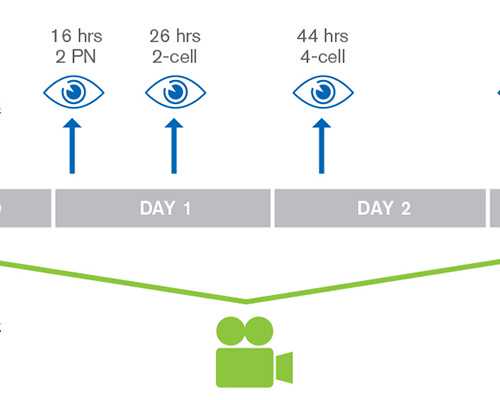 宫腔粘连想做试管婴儿吗(宫腔粘连适合做试管吗)~试管生子机构