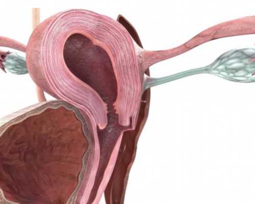 古玩收藏买卖_罗中立：被油画《父亲》改变的一生