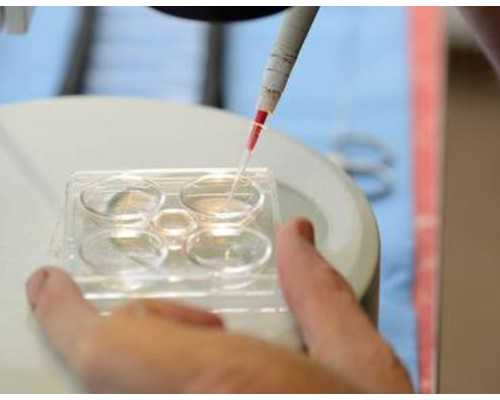 太原古玩市场一览表_中国写实画派十二周年展即将在京隆重启幕