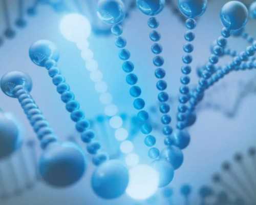 怀孕6周胚胎4mm香港验血准不_香港验血前要复查B超吗_19周验血B超翻盘信哪个!