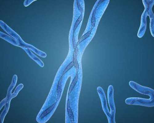 香港验血快递过去的行不行_香港验血查报告单真假,验血的最佳孕周是多少周